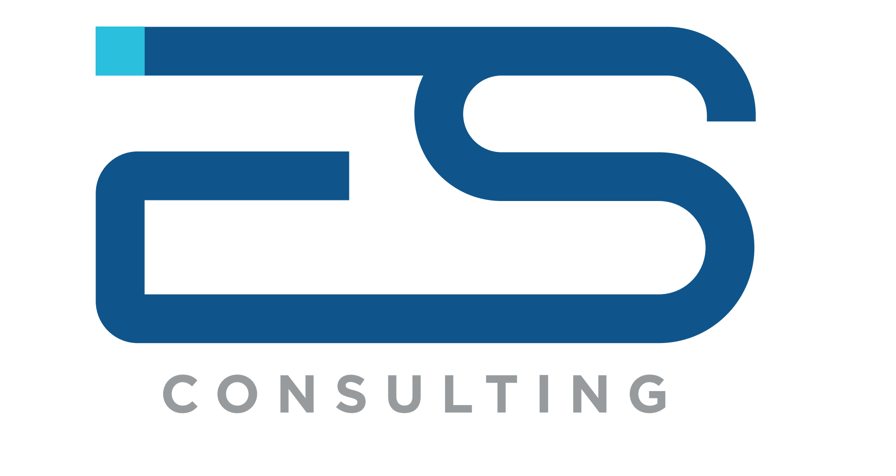 ES Consulting